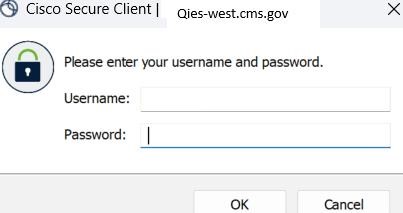Cisco Secure Client login screen